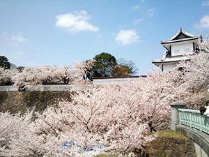 満開の桜並木、着物を着こなす金沢の人々。そんな場所で働きたい！